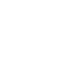 Grill Charcoal, N.S. Dhone and Company, Kasba Peth, Pune